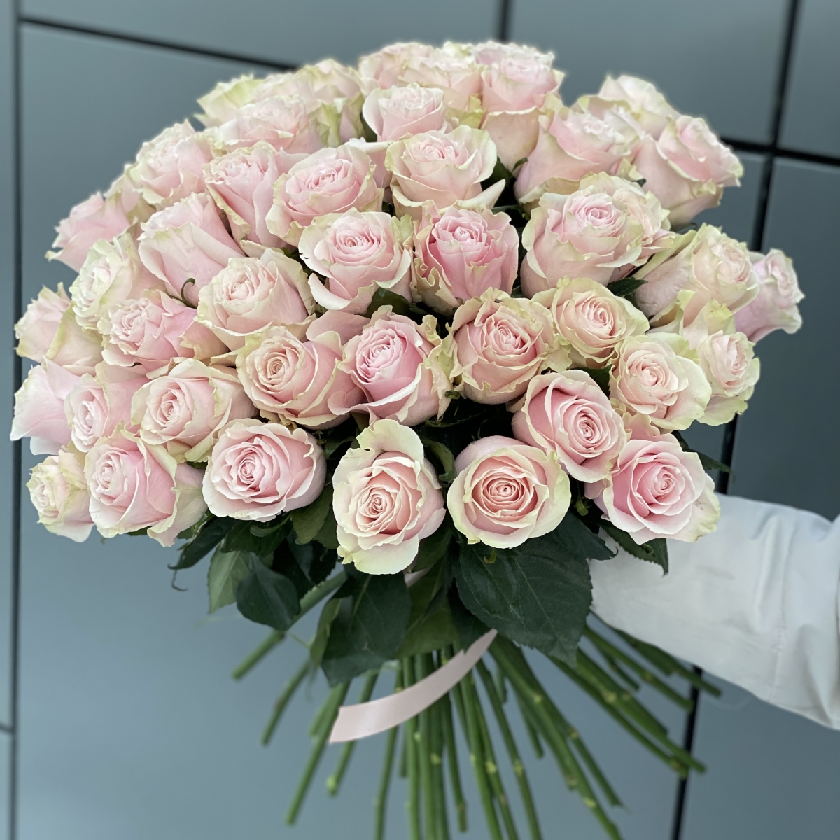 Букет из 51 розовой розы