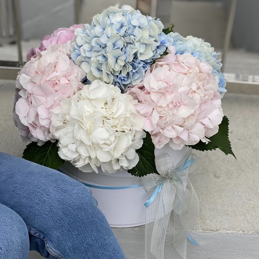 Коробка с гортензией Фиджи