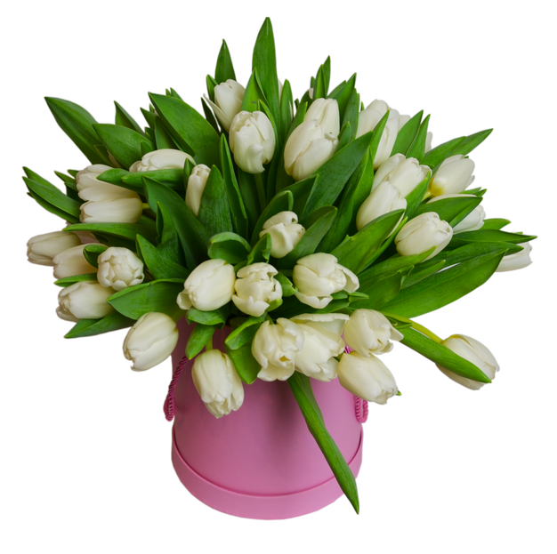 Коробка белых тюльпанов Нина