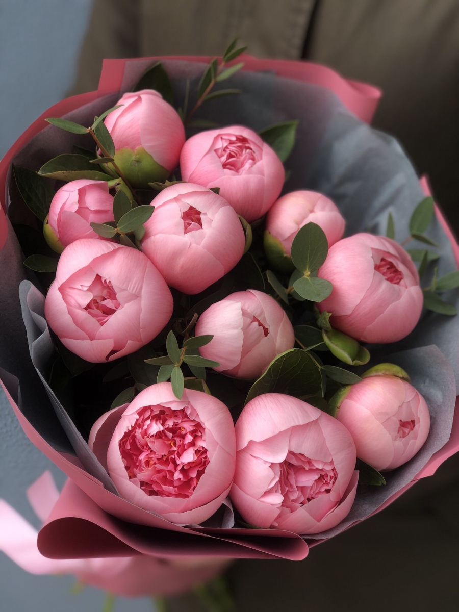 Букет Салмон из 7 пионов и эвкалипта