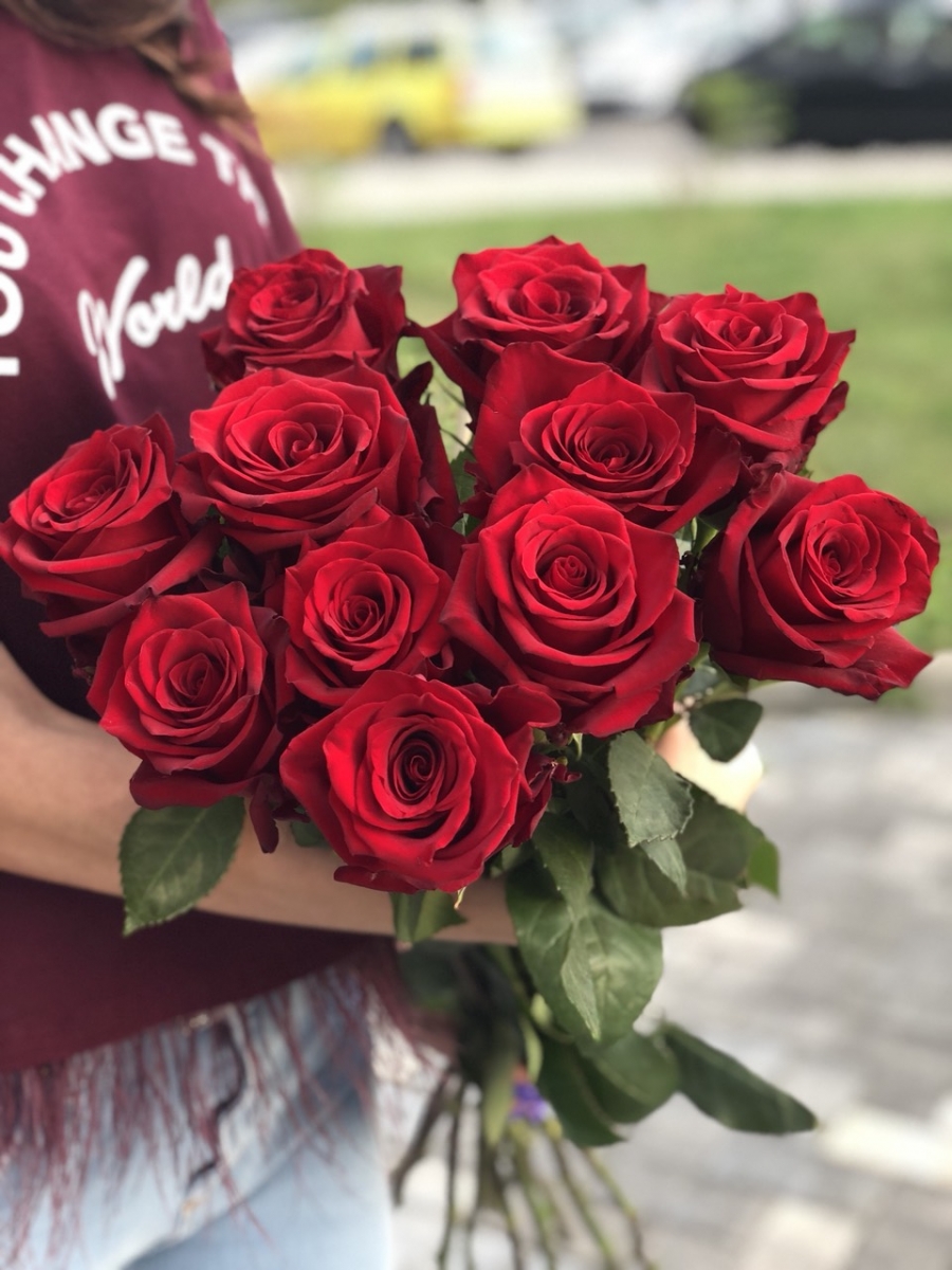 Роза красная Голландия 60 см