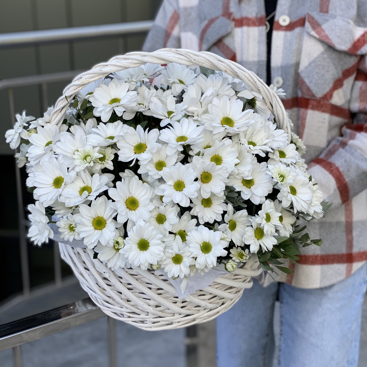 Корзина Стандарт из белой ромашковой хризантемы