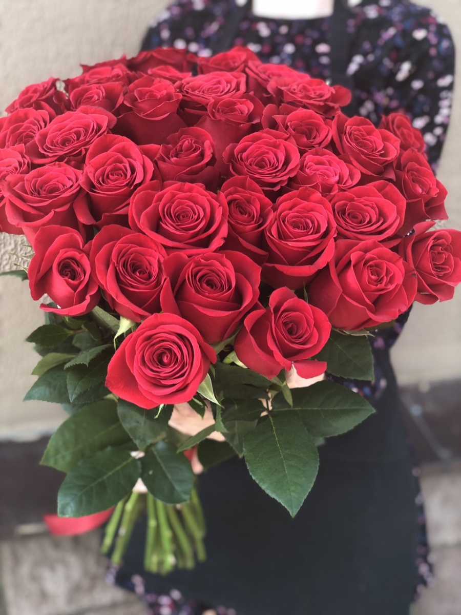 Роза красная 50 см